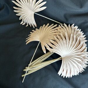 Decorative Palm Leaves